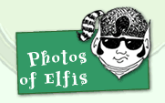 Photos Of Elfis : Elfis Land