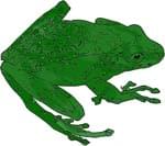 The Tree Toad - Downloadable Kit thumbnail