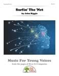 Surfin' The 'Net cover
