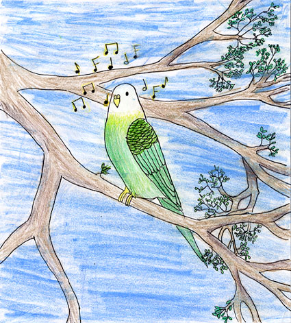 Contestant Artwork
