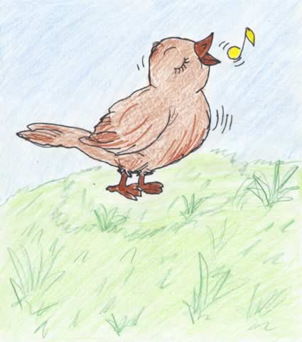 Contestant Artwork