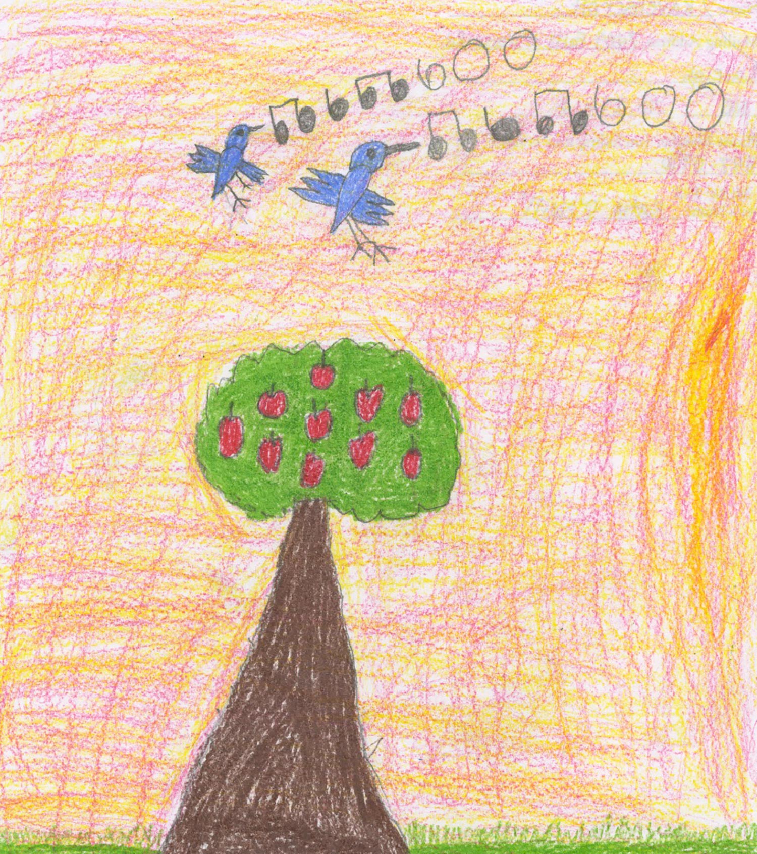 Anna Canavan - 1st grade; Raleigh, NC