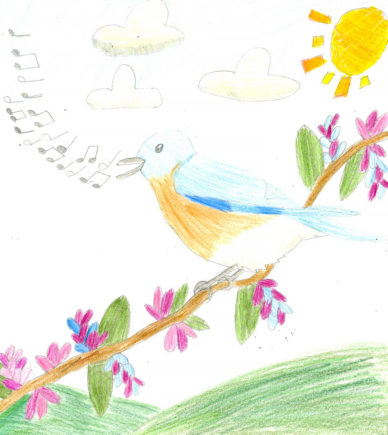 Erin C. McClure - Escondido, CA art