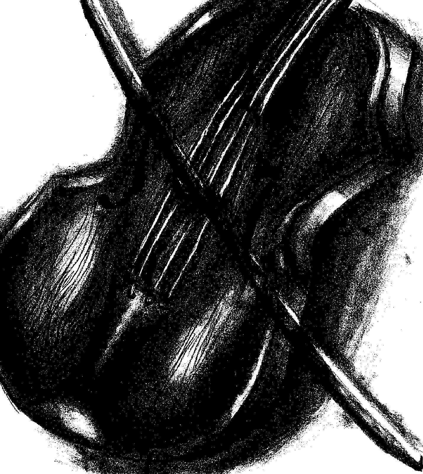 Madeline Sidleck - 7th grade; Schuylkill Haven, PA