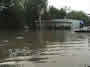Flood photo thumbnail