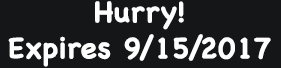 Seasonal/Holidays Store