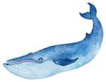 Whale Song - Downloadable Kit