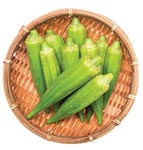 No Okra In My Gumbo cover